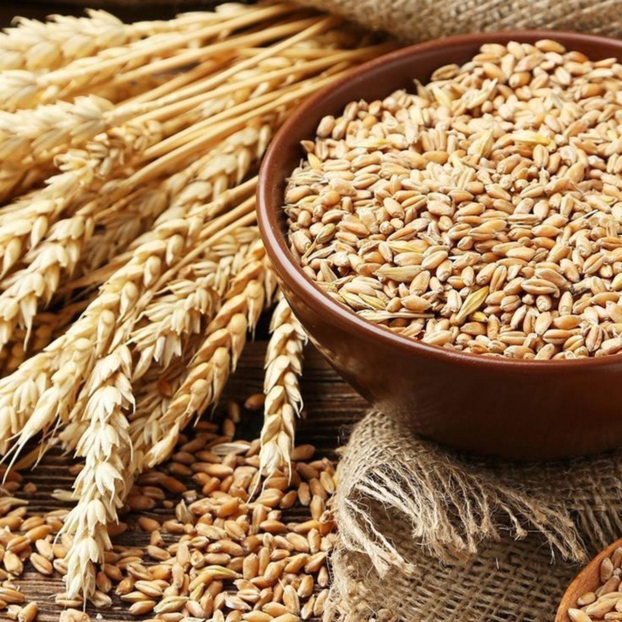 Grains
