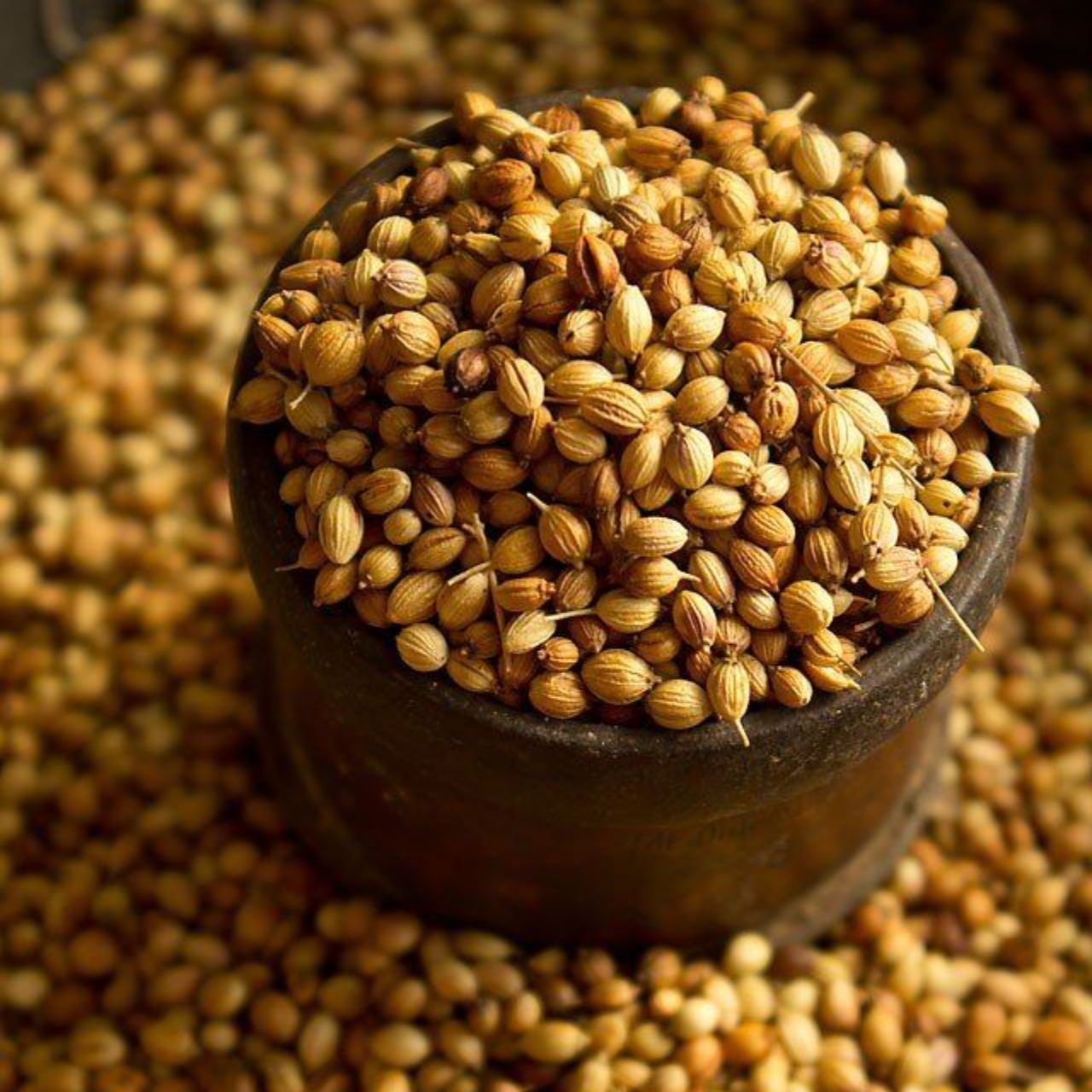 Agro Commodities